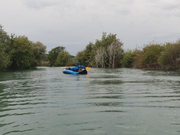 IMG ca205efa90c3524ee8ed5b4401166dd0 V