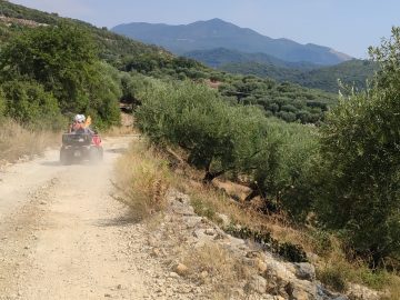 IMG 20190903 151837 scaled