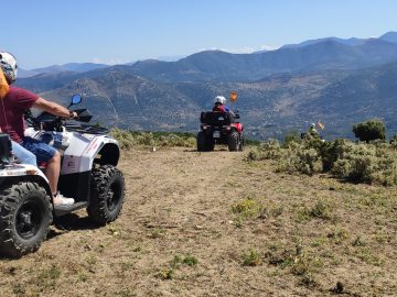 IMG 20200719 104525 scaled