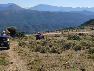 IMG 20200719 104538 scaled