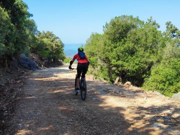 IMG 20200905 112625 1 scaled