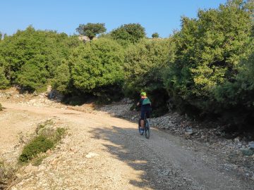 IMG 20200910 094721 scaled