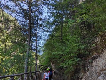 IMG 20200916 144604 scaled