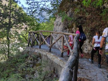 IMG 20200916 144738 1 scaled