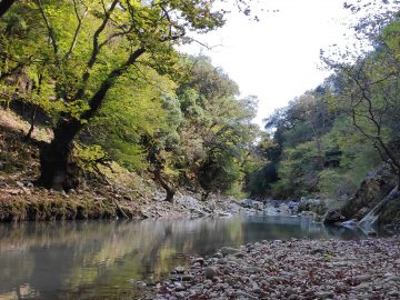 IMG 20201011 144147 scaled