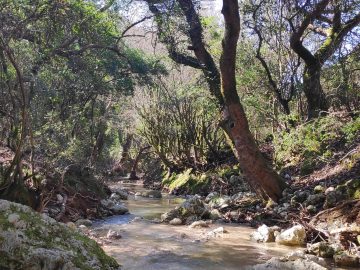 IMG 20210221 123650 scaled