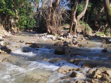 IMG 20210221 132204 scaled