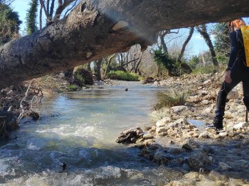 IMG 20210221 135455 scaled